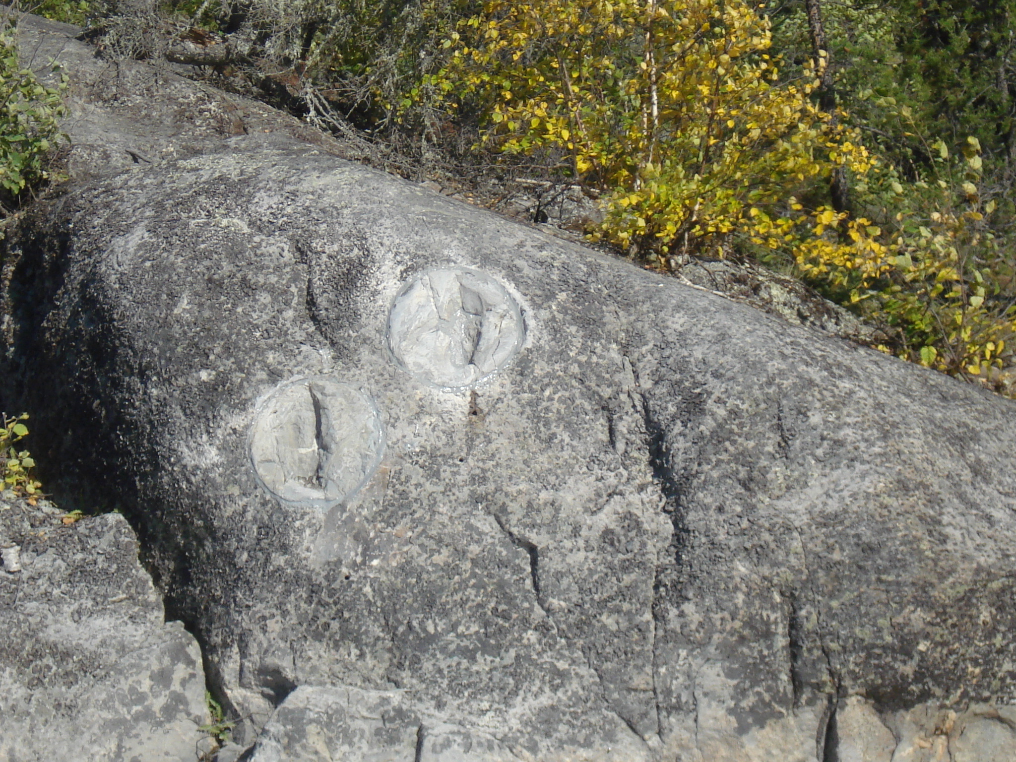 The Footprints created by Wesahkechahk